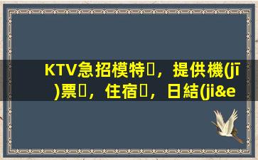 KTV急招模特，提供機(jī)票，住宿，日結(jié)